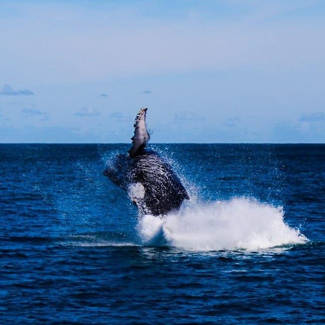 WhatsApp Image 2025-03-20 at 12.32.11